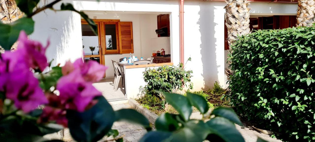 Ninfa Sul Mare Apartments 50 M E T R I Dal Mare Parcheggio Gratuito Custodito 梵蒂冈角 外观 照片