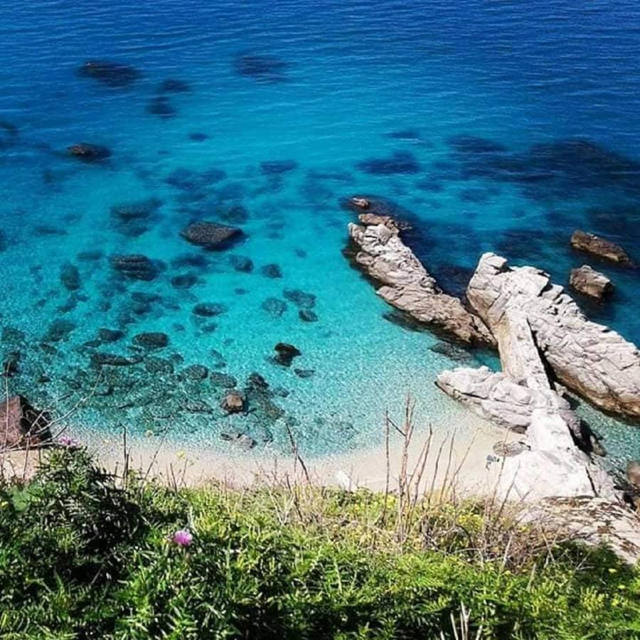 Ninfa Sul Mare Apartments 50 M E T R I Dal Mare Parcheggio Gratuito Custodito 梵蒂冈角 外观 照片
