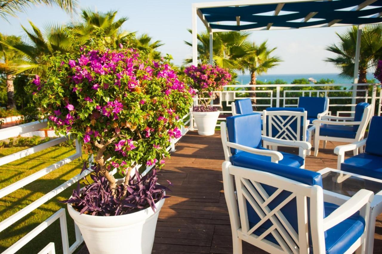 Ninfa Sul Mare Apartments 50 M E T R I Dal Mare Parcheggio Gratuito Custodito 梵蒂冈角 外观 照片